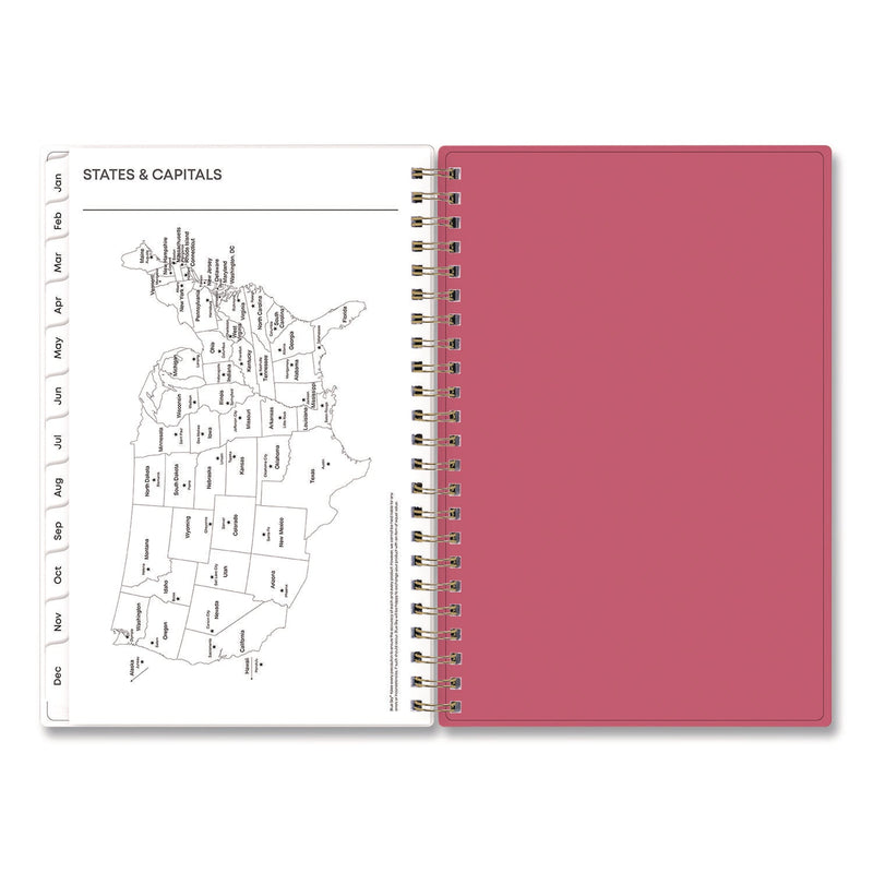 Blue Sky® Amalia Weekly/Monthly Planner, Mandala Artwork, 8 x 5, Multicolor Cover, 12-Month (Jan to Dec): 2025 (BLS14876825)
