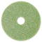 3M™ Low-Speed TopLine Autoscrubber Floor Pads 5000, 17" Diameter, Green/Amber, 5/Carton (MCO18049)