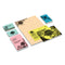 Astrobrights® Color Cardstock, 65 lb, 8.5 x 11, Assorted Colors, 250/Pack (WAU91715)